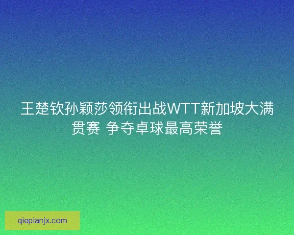 王楚钦孙颖莎领衔出战WTT新加坡大满贯赛 争夺卓球最高荣誉