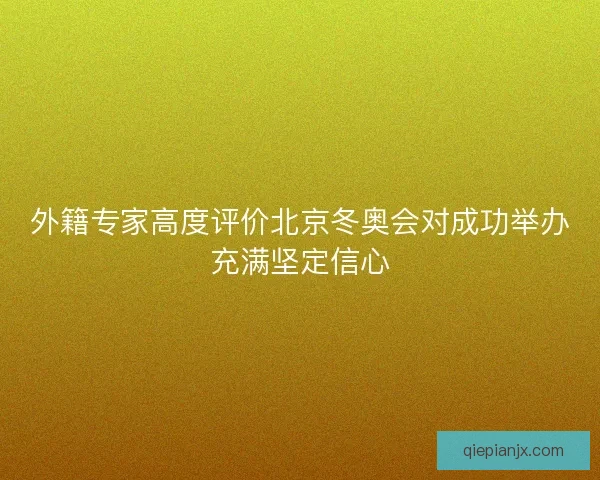 外籍专家高度评价北京冬奥会对成功举办充满坚定信心