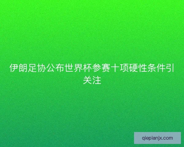 伊朗足协公布世界杯参赛十项硬性条件引关注